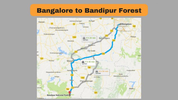 Road trip Bangalore to Bandipur Forest