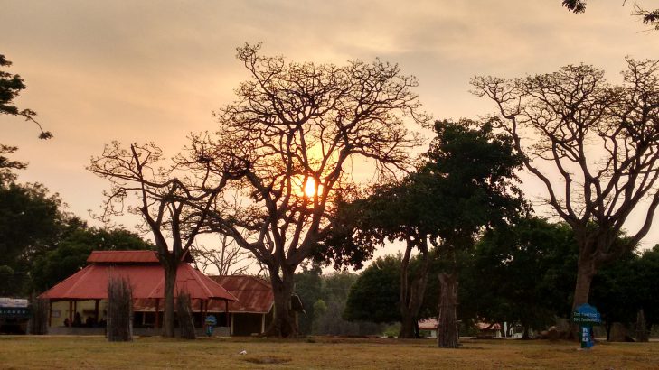 Road trip bangalore bandipur
