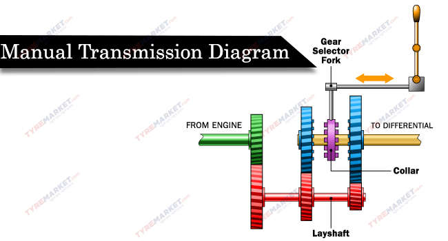 Manual Transmission